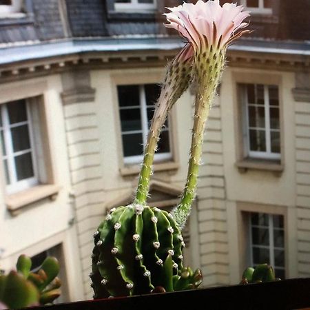 Chambre D'Hote Dans Maison De Maitre มูลูส ภายนอก รูปภาพ